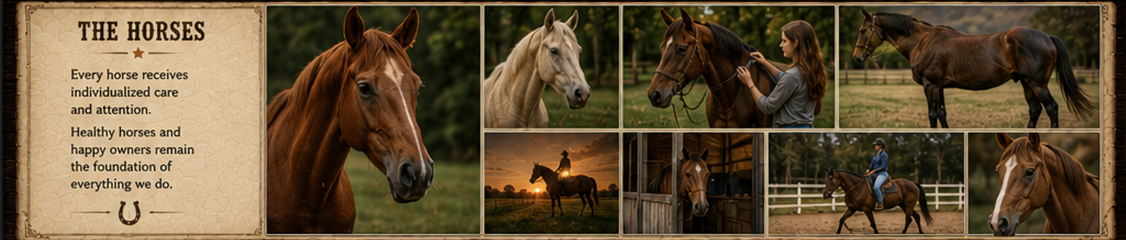 The Horses