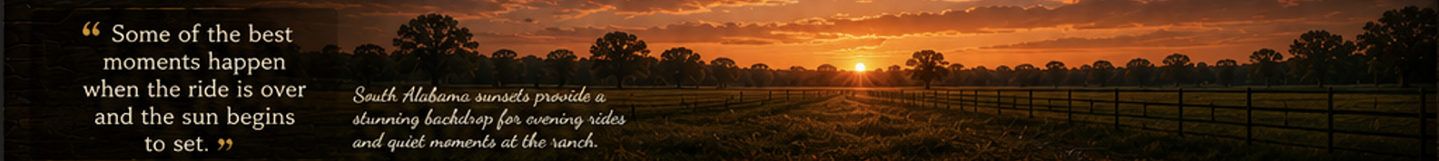 Sunset Moments